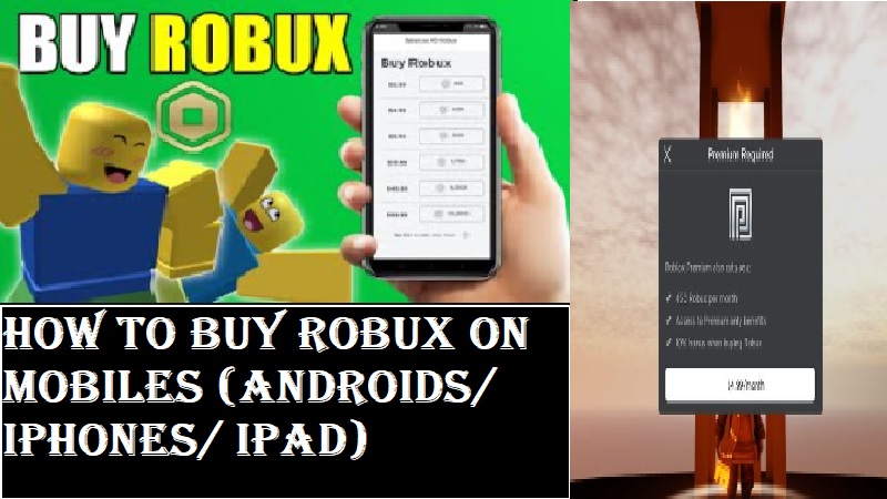 How To Buy Robux On Pc Mobile Or Tablet Detailed Guide Techzimo - pc robux